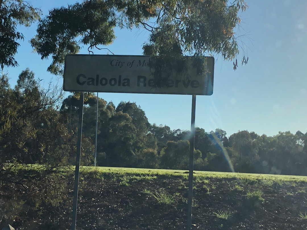 Caloola Reserve景点图片