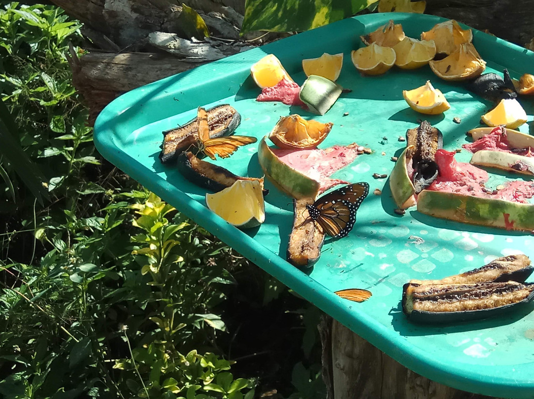 Parque Acuatico Baxal Ja-梅里达必去景点