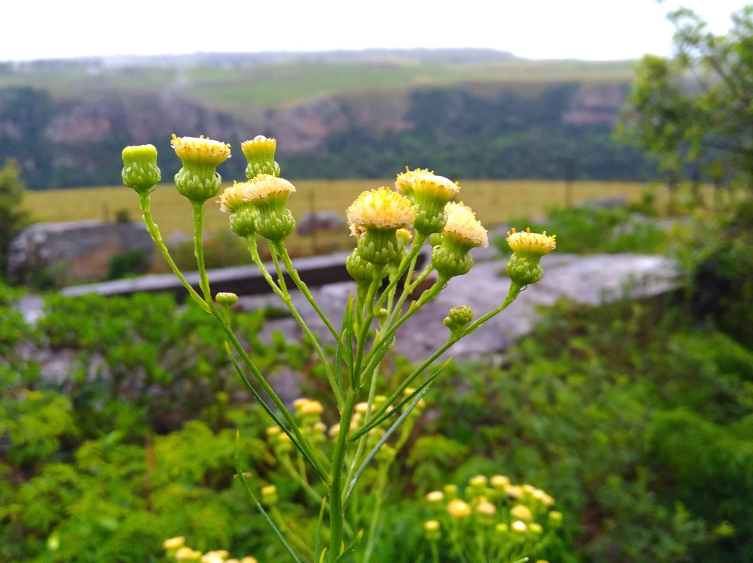 Clearwater Trails-Port Edward必去景点