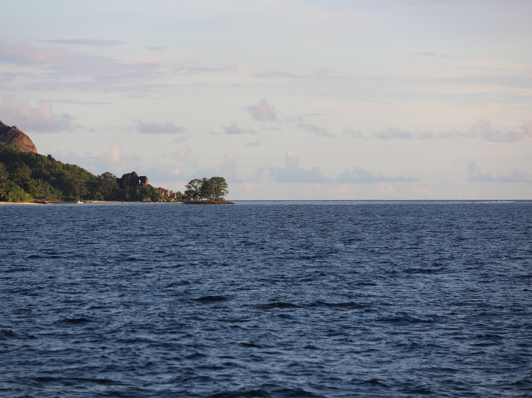 Inter Island Ferry景点图片