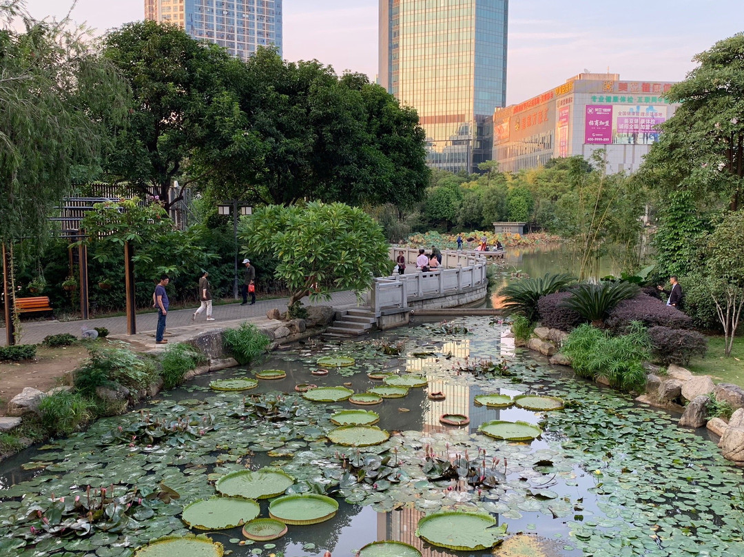 福州茶亭公园景点图片