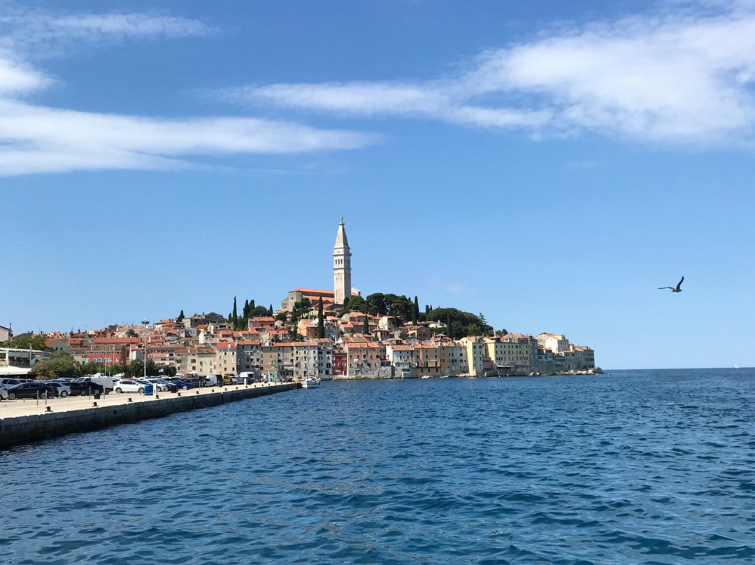 Fish Picnic - Lim Fjord-罗维尼必去景点
