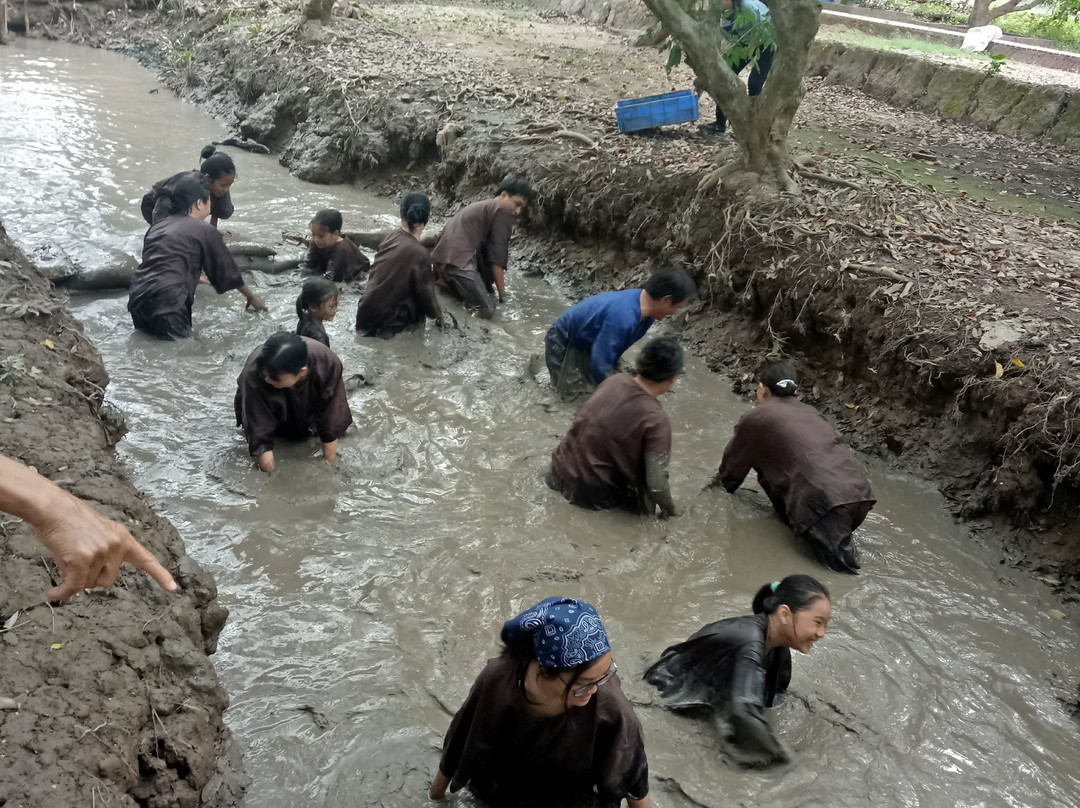 Tien Giang Eco Tourist-美拖市必去景点
