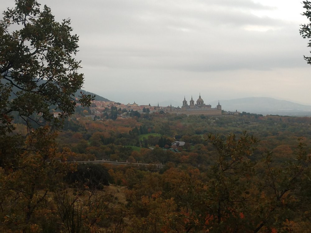 Bosque de la Herreria景点图片