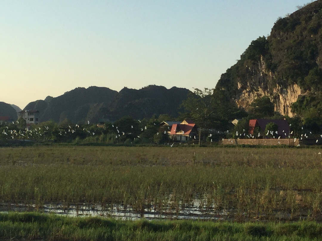Trang An Secret Garden主图