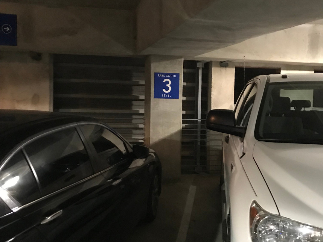 College Park Center-阿灵顿必去景点