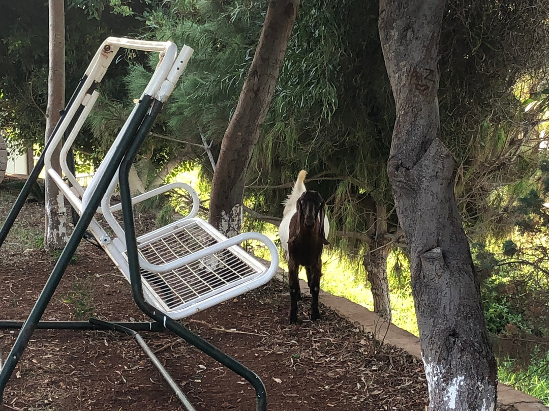 Grand Ada Hotel主图