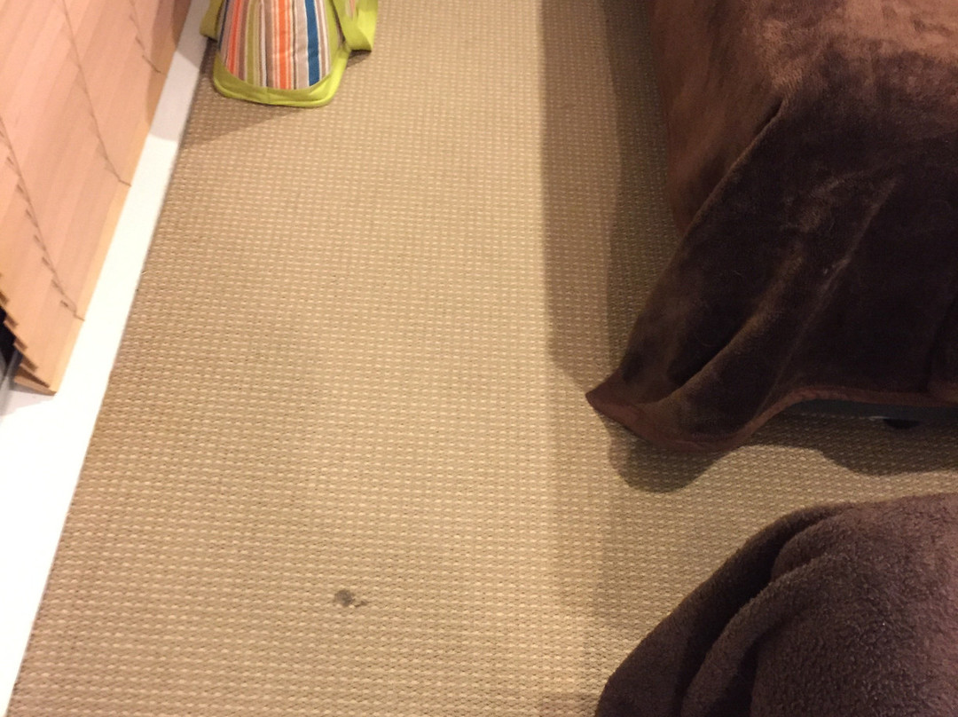 Big Five Motel主图