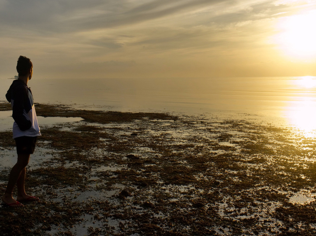 Oslob Anglers Hub and Resort主图