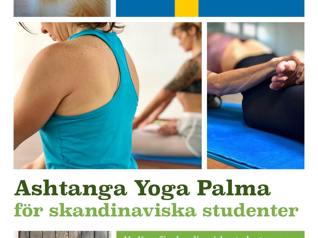 Ashtanga Yoga Palma-马洛卡帕尔马必去景点