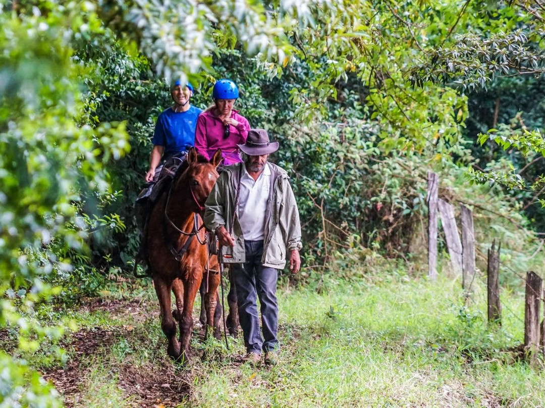 Martin Tours-蒙特沃德必去景点