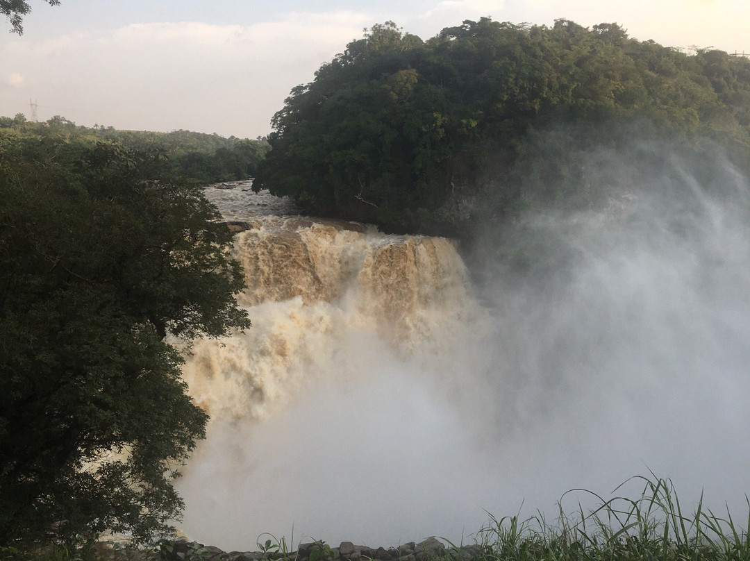 Zongo Falls景点图片