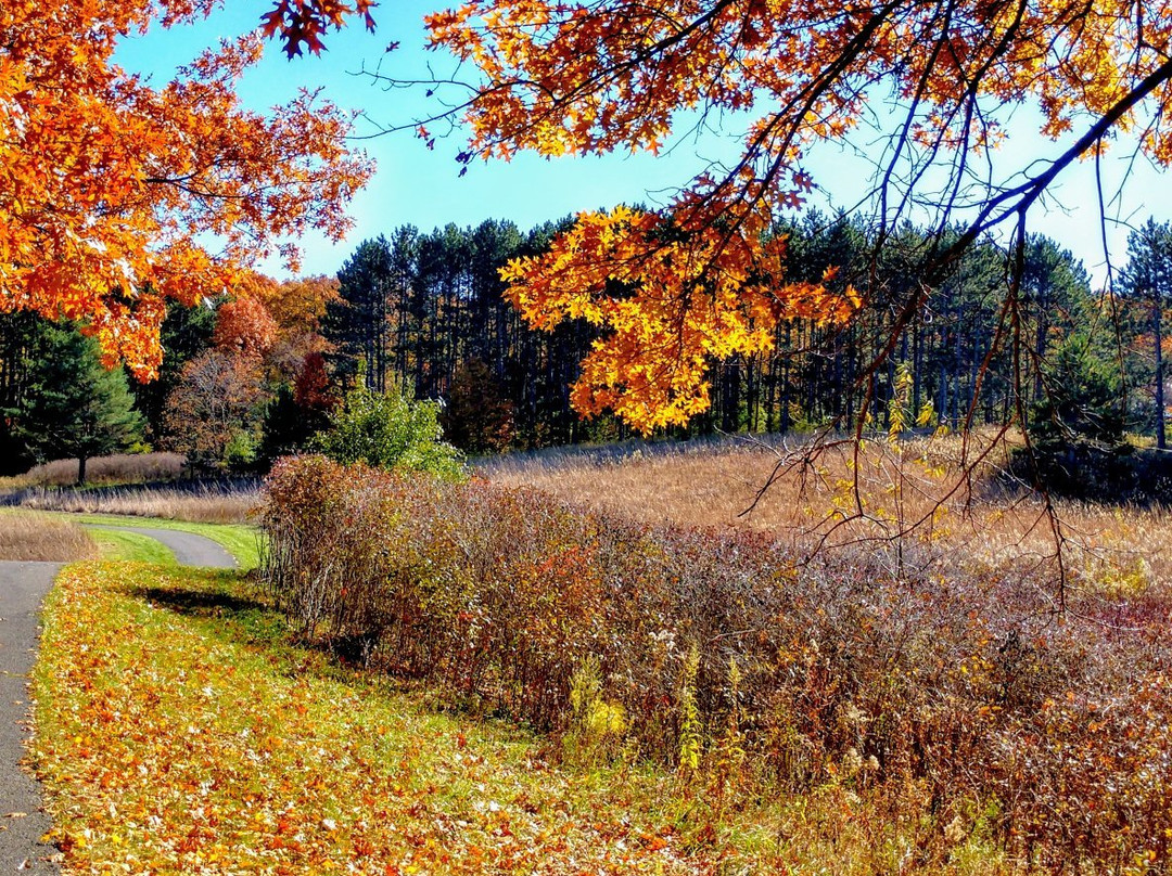 Battle Creek Dog Park景点图片