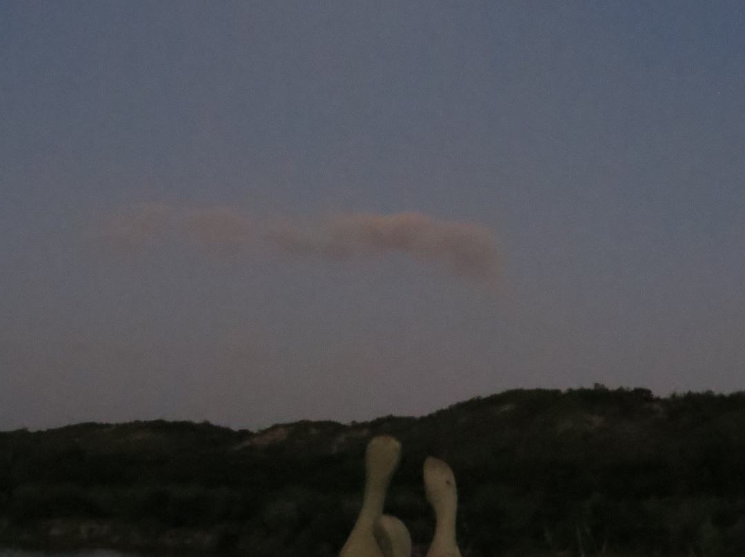 Dungbeetle River Lodge主图