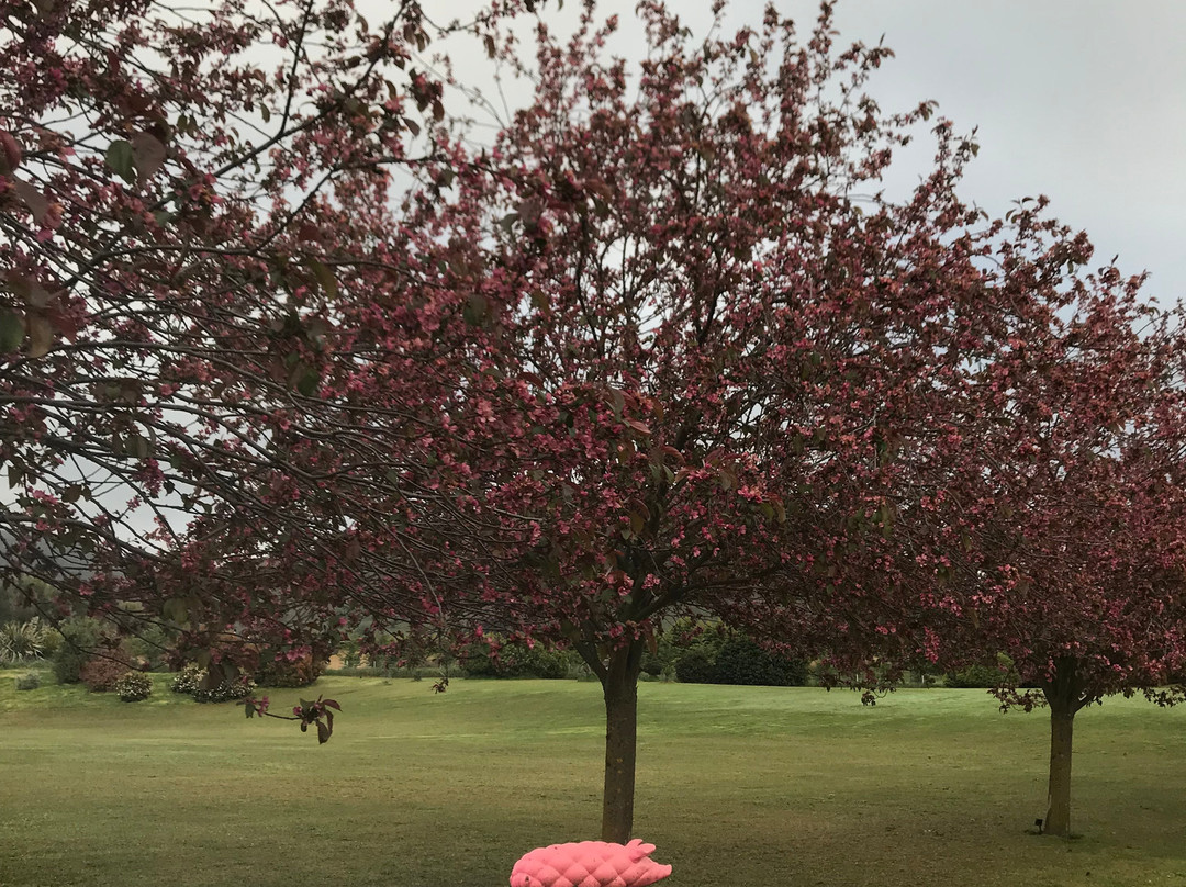 Laurel Bank House主图