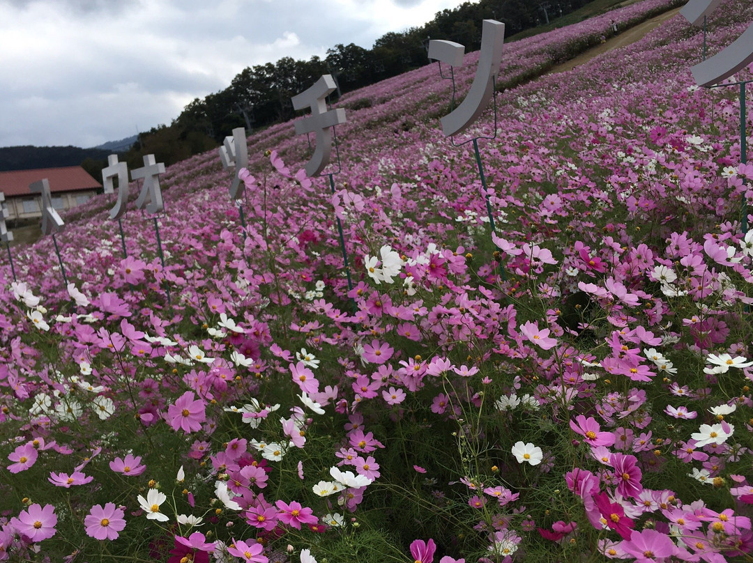 Yumenotaira Ski Resort景点图片