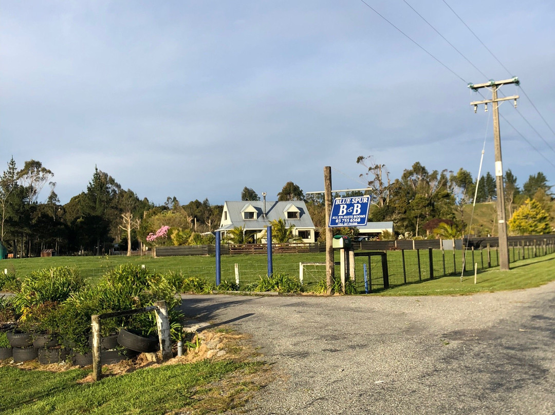 Hokitika - Blue Spur Bed and Breakfast主图