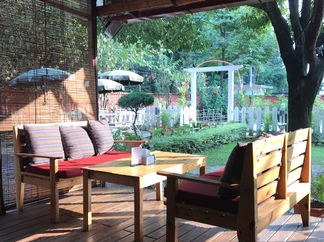 The Yard By Oasis Garden Homes