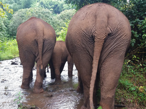 Crazy Tour Guide-夜登必去景点