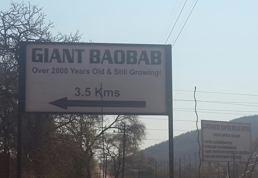 Sunland Big Baobab-Duiwelskloof必去景点