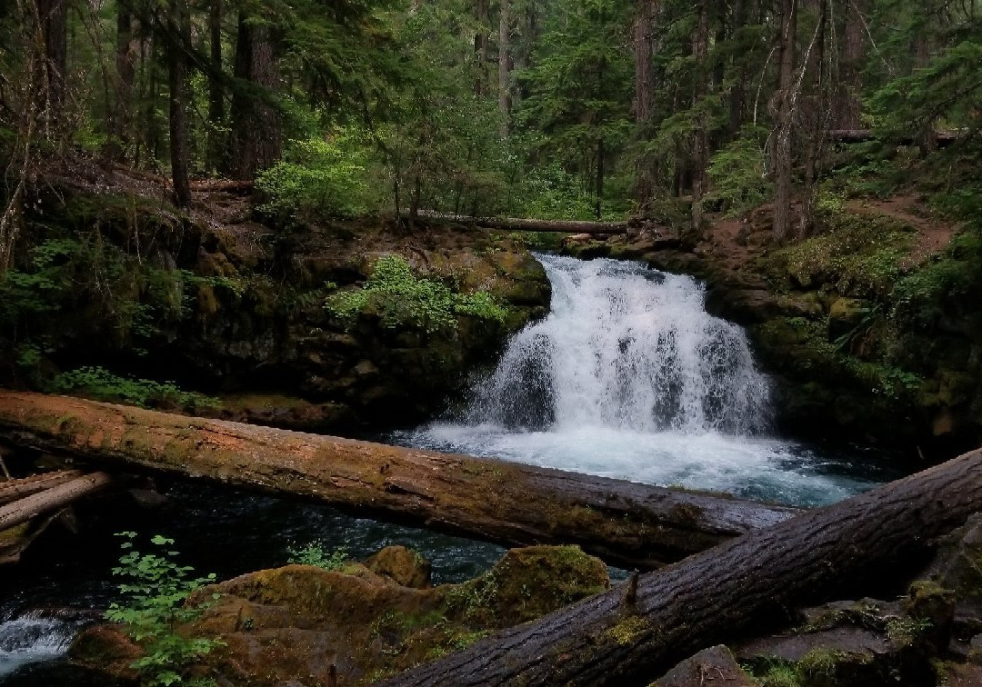 Whitehorse Falls景点图片