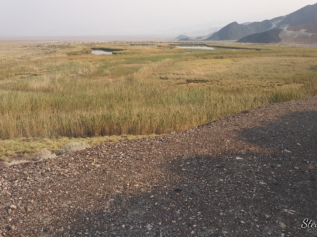 Saratoga Springs-死亡谷国家公园必去景点