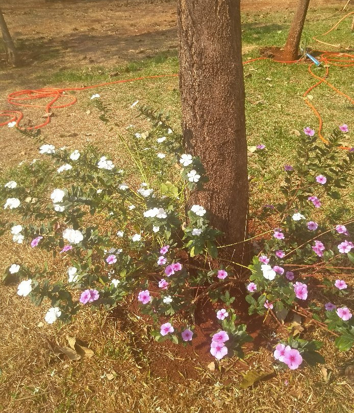 Parque do Cristo-Sertaozinho必去景点