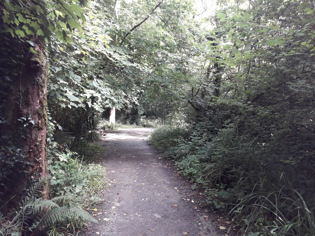 Ballyseedy Woods-特拉利必去景点