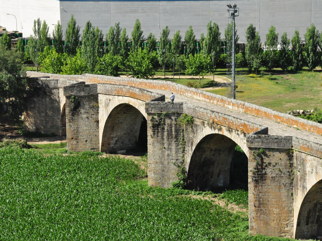 Puente Viejo景点图片