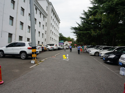 青岛动物园-青岛市必去景点