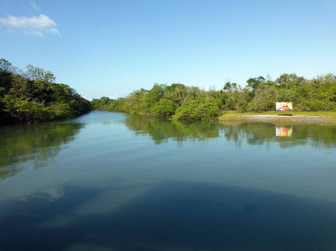 Jaguaribe River景点图片