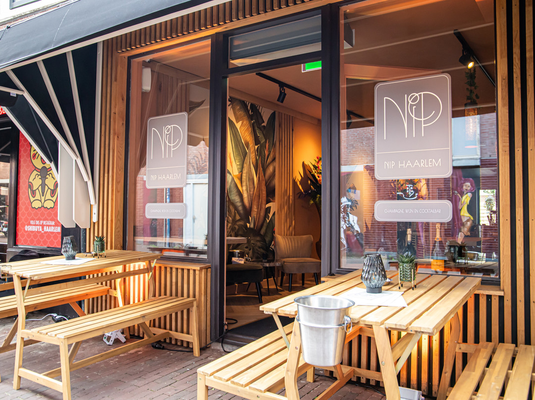 Nip Haarlem