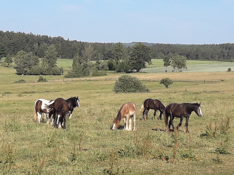 Marczow旅游攻略图片