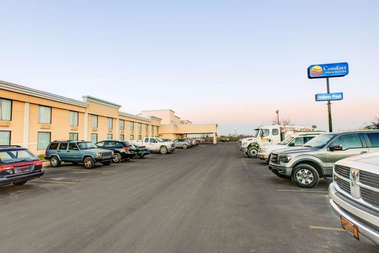 Comfort Inn & Suites-官方