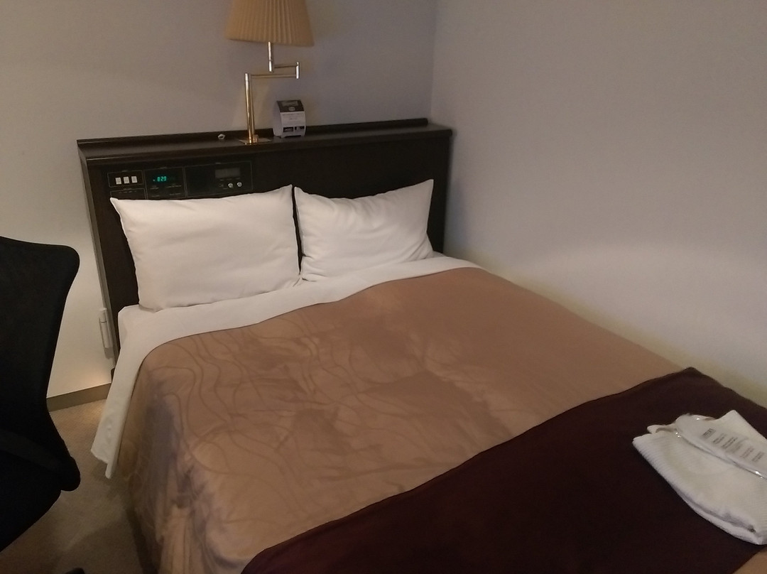 Casa Hotel Shinshirakawa主图