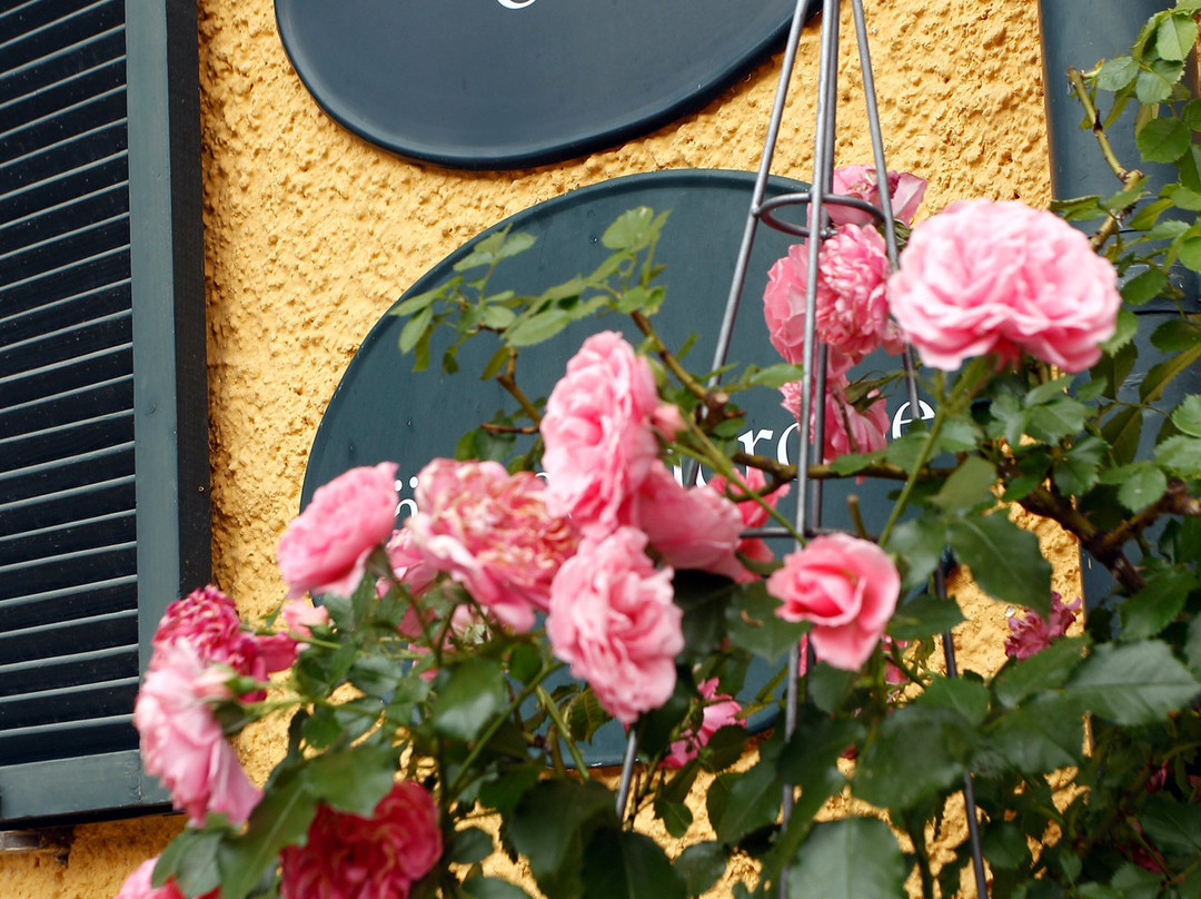 Murhof Hotel & Restaurant主图