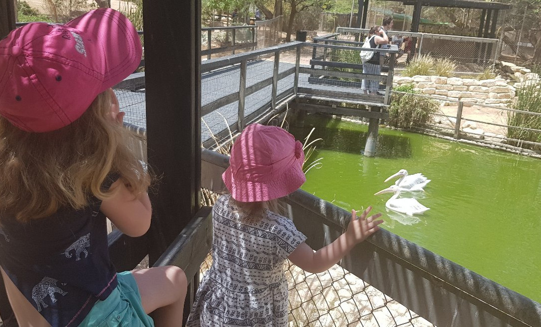 Negev Zoo-贝尔谢巴必去景点