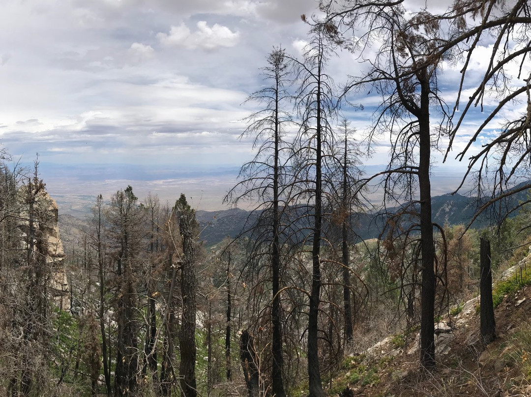 Heliograph Trail-Safford必去景点