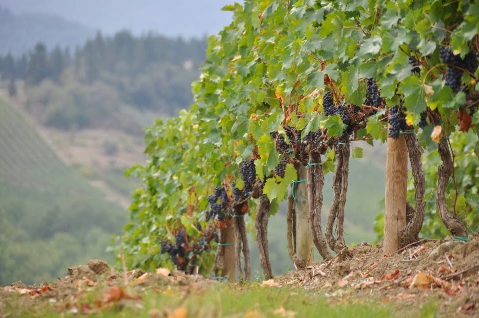 Taste of Umbria-Gualdo Cattaneo必去景点