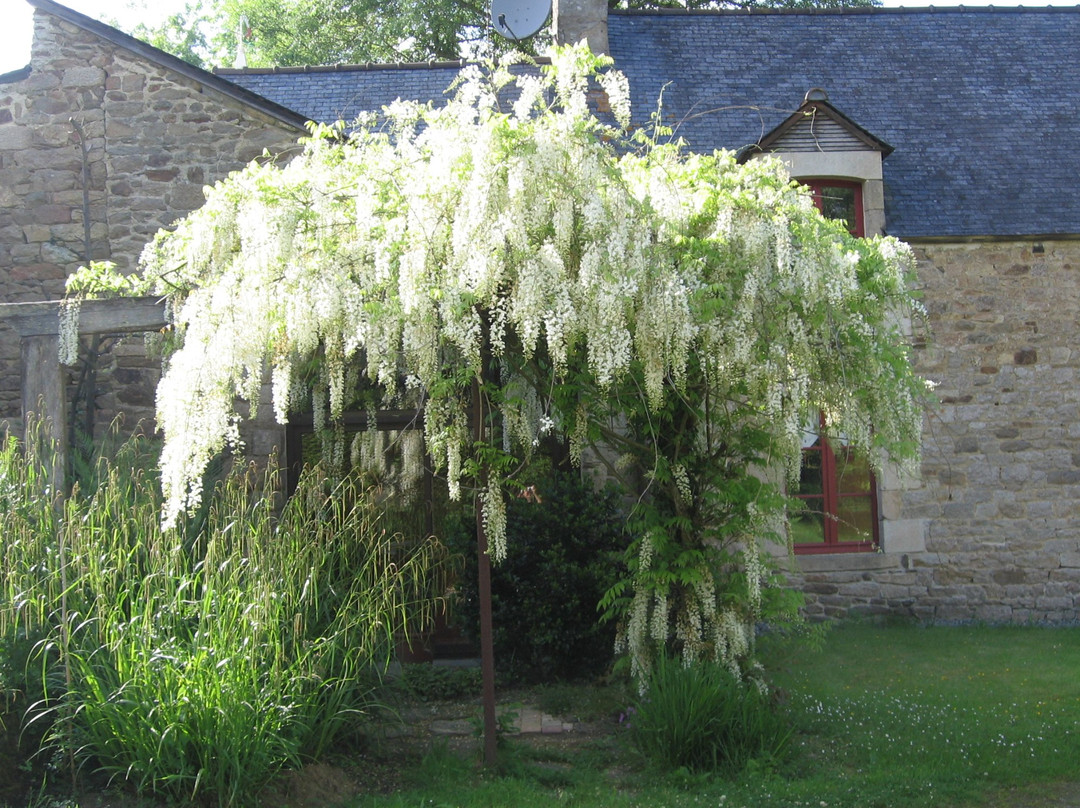 Chambre D'hotes La Guyonnais主图