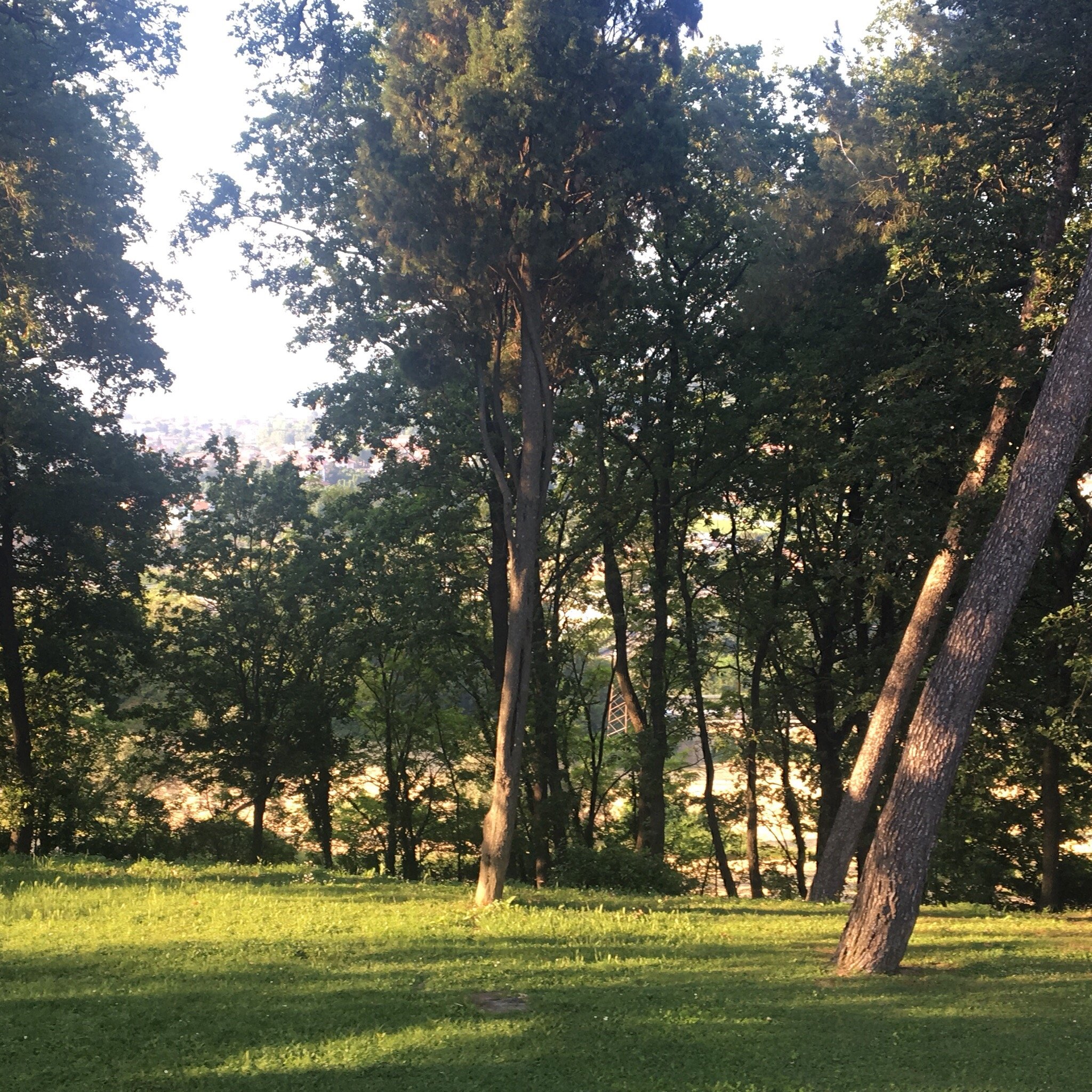 Relais Villa Matarazzo-官方