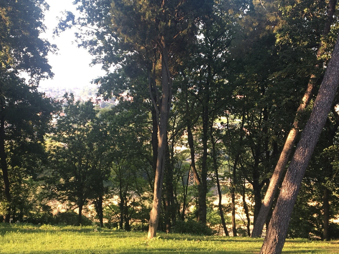 Relais Villa Matarazzo主图