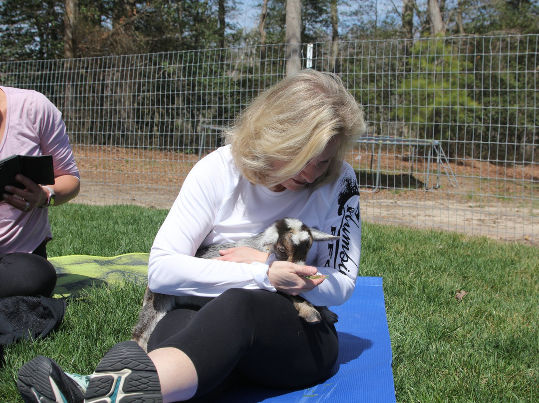 Harbeson旅游攻略图片