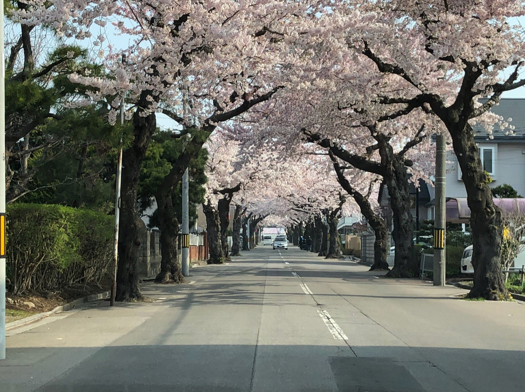 Sakuragaoka St.-函馆市必去景点
