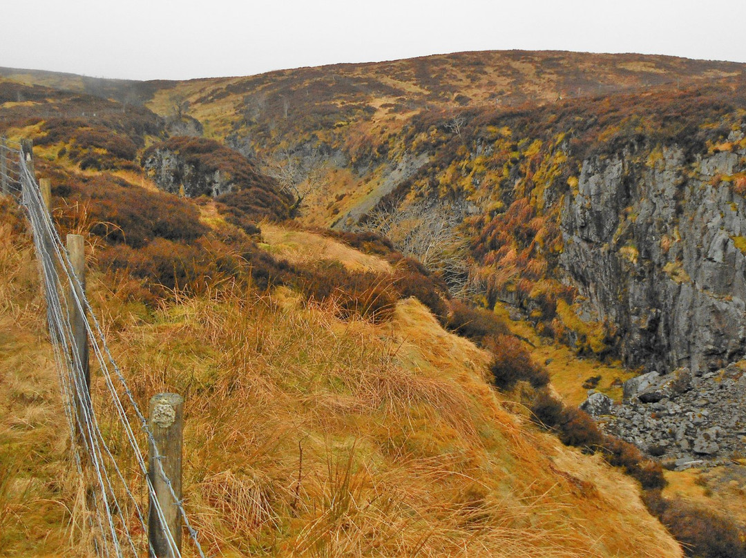 Muirshiel Visitor Centre & Country Park景点图片