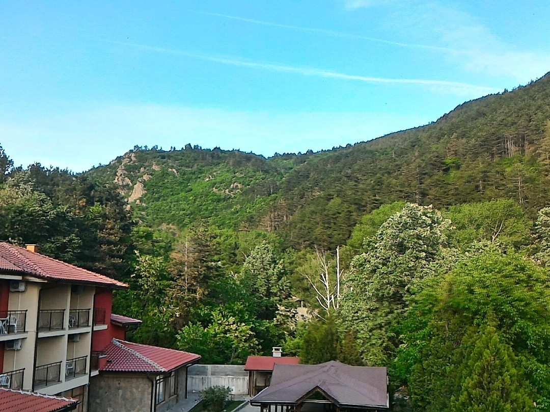 Sheynovo旅游攻略图片