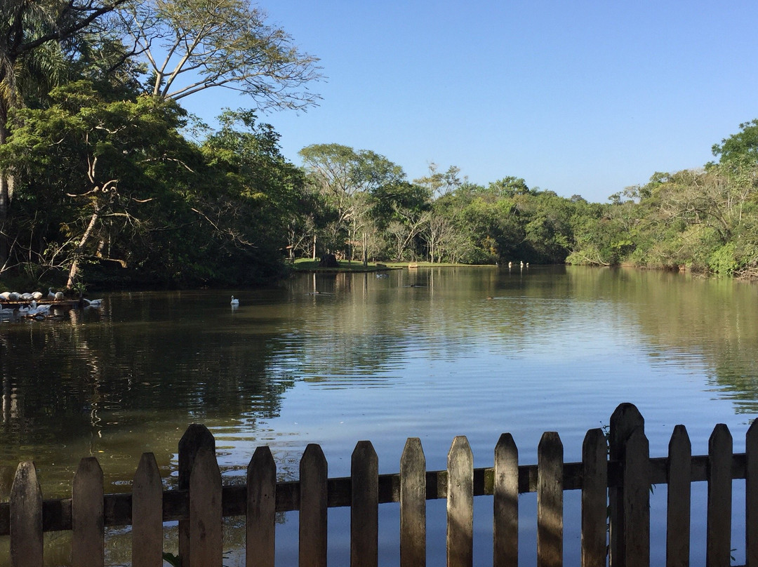 Parque Ecológico Eugênio Walter景点图片