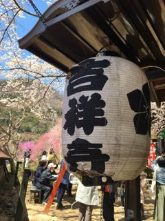 Kichijouji Temple景点图片
