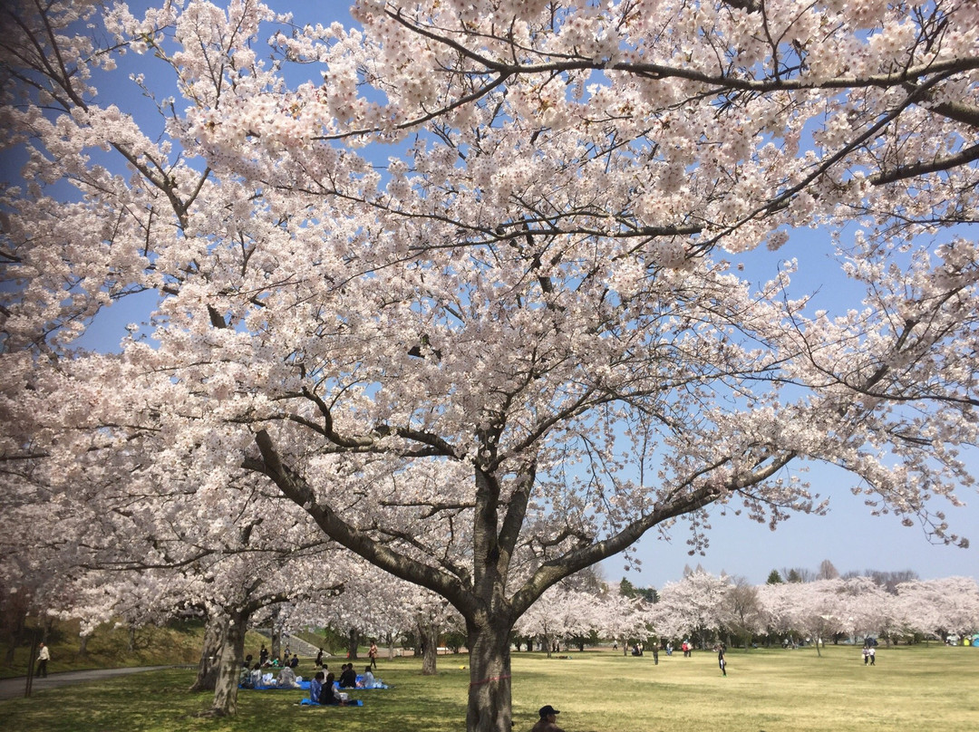 Hachinohe Park-八户市必去景点