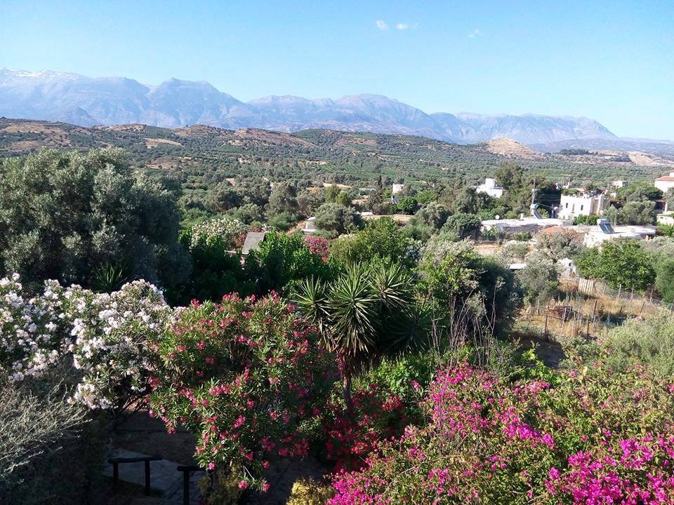 Ambeliotissa Apartments-官方